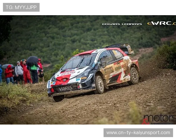 百万观众同步在线观看：WRC赛事直播盛况，wrc比赛直播