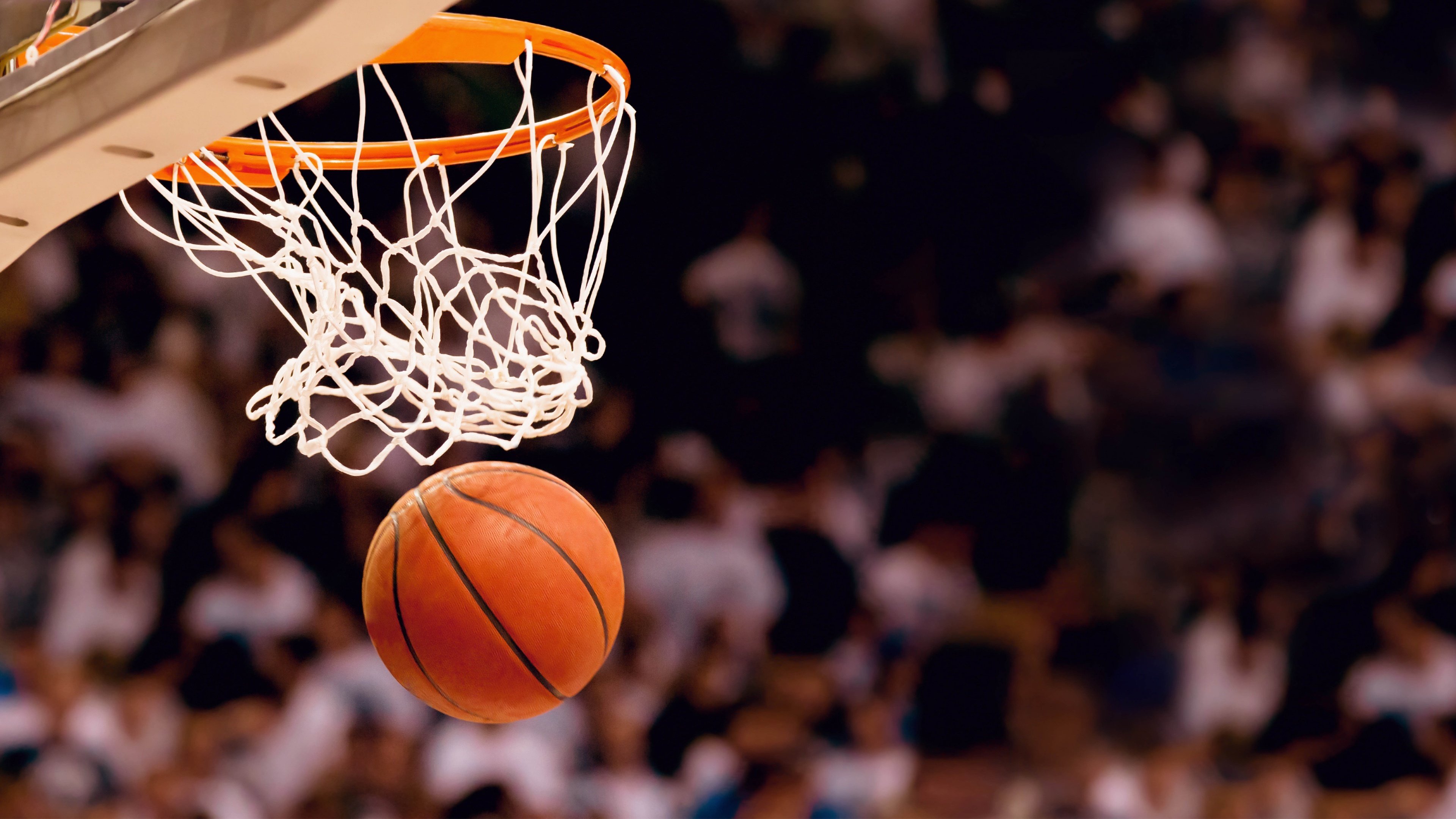 NBA球队替补席表现数据统计，nba替补席规定