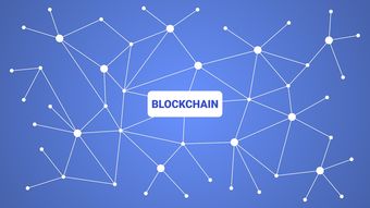 开云体育app入口-英超青训引入虚拟现实技术强化战术理解，英超青训最好的球队