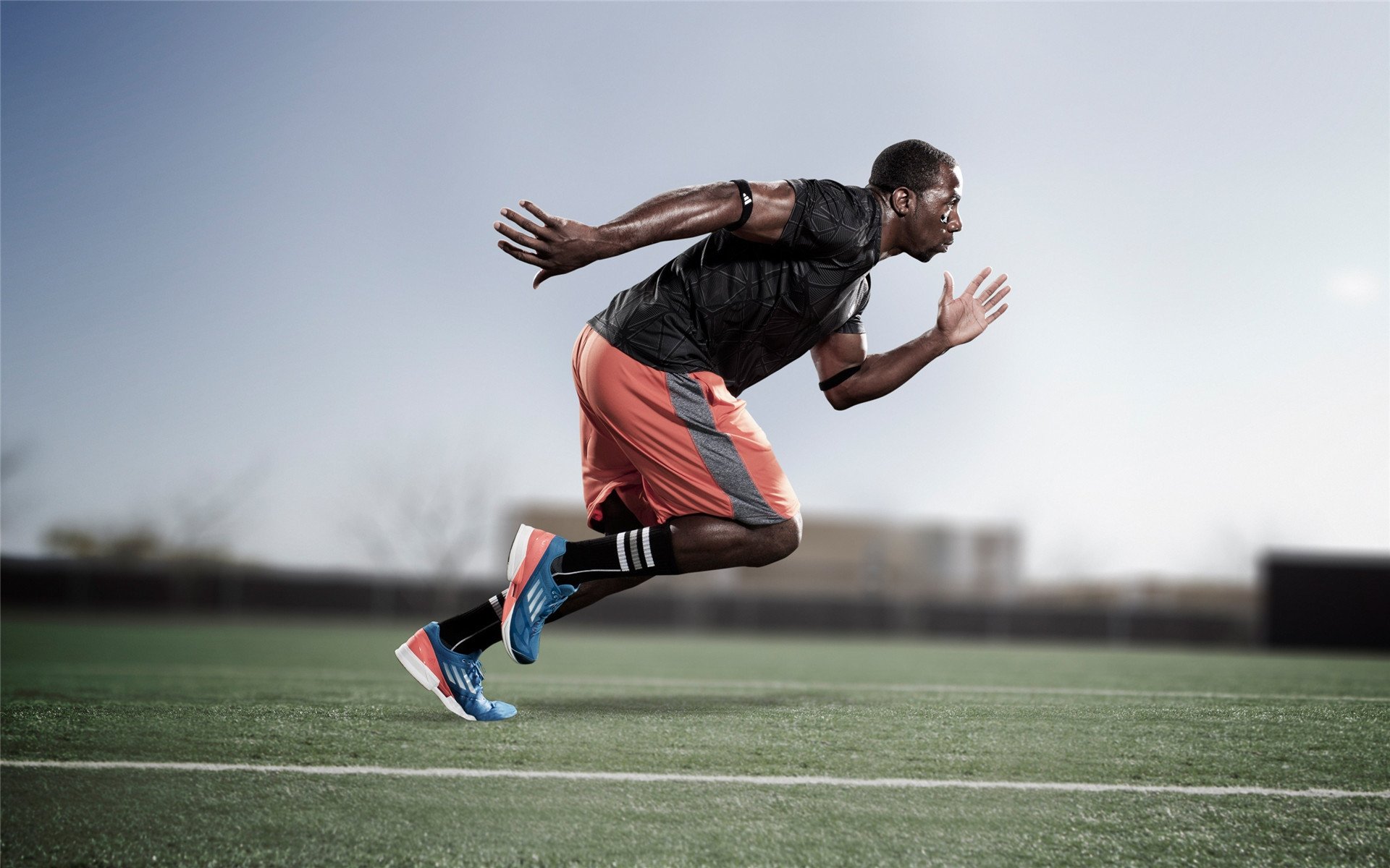 体育新闻中心多维度展示竞技成果，体育新闻报道范文大全